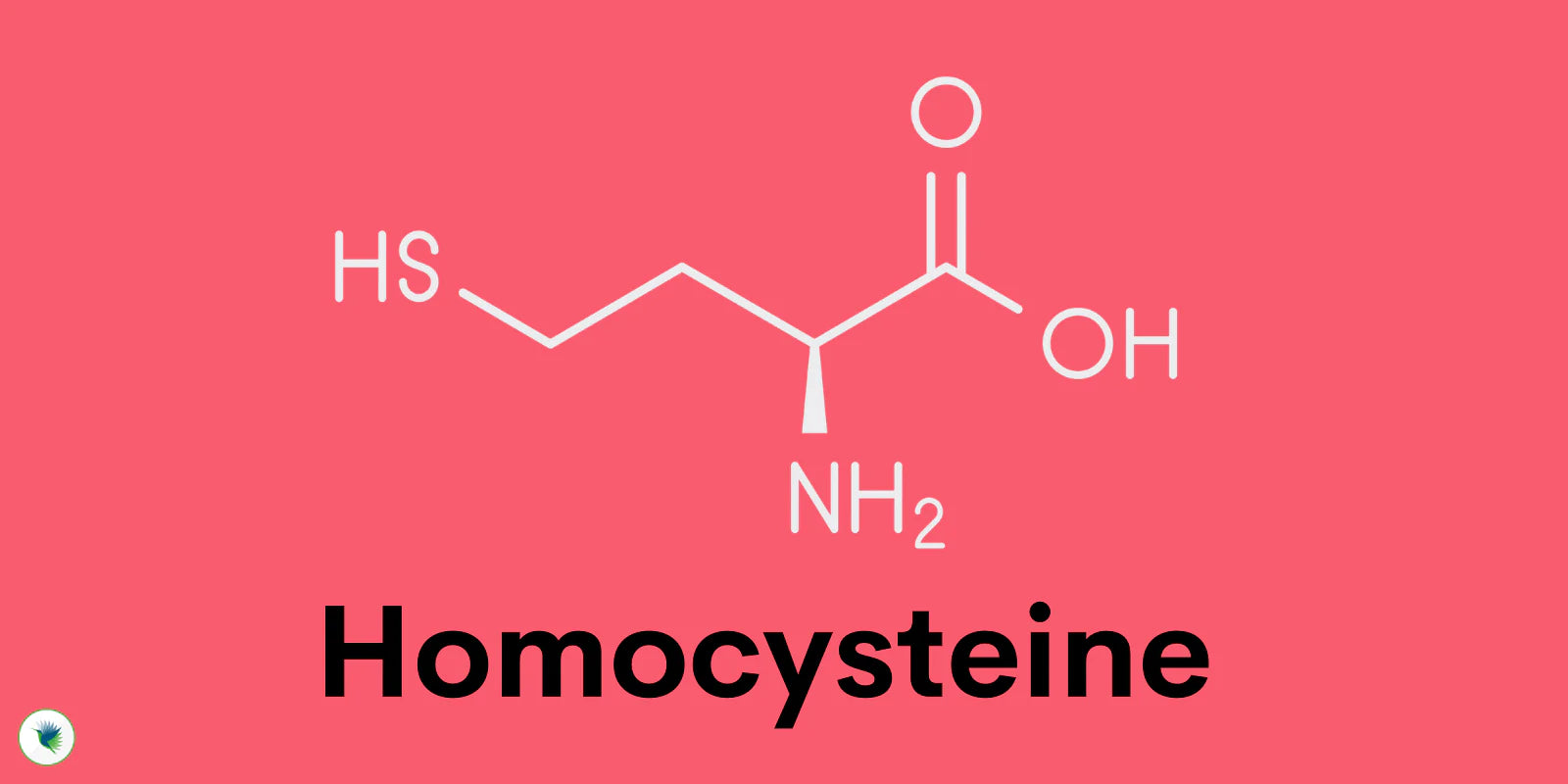 Understanding Homocysteine: Why It Matters for Your Health